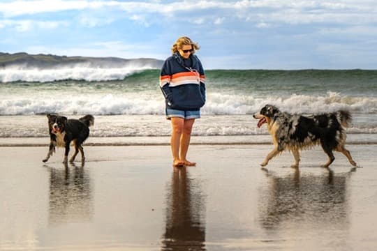 Becca with dogs walking on a beach